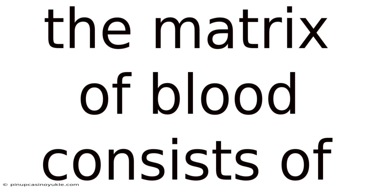 The Matrix Of Blood Consists Of