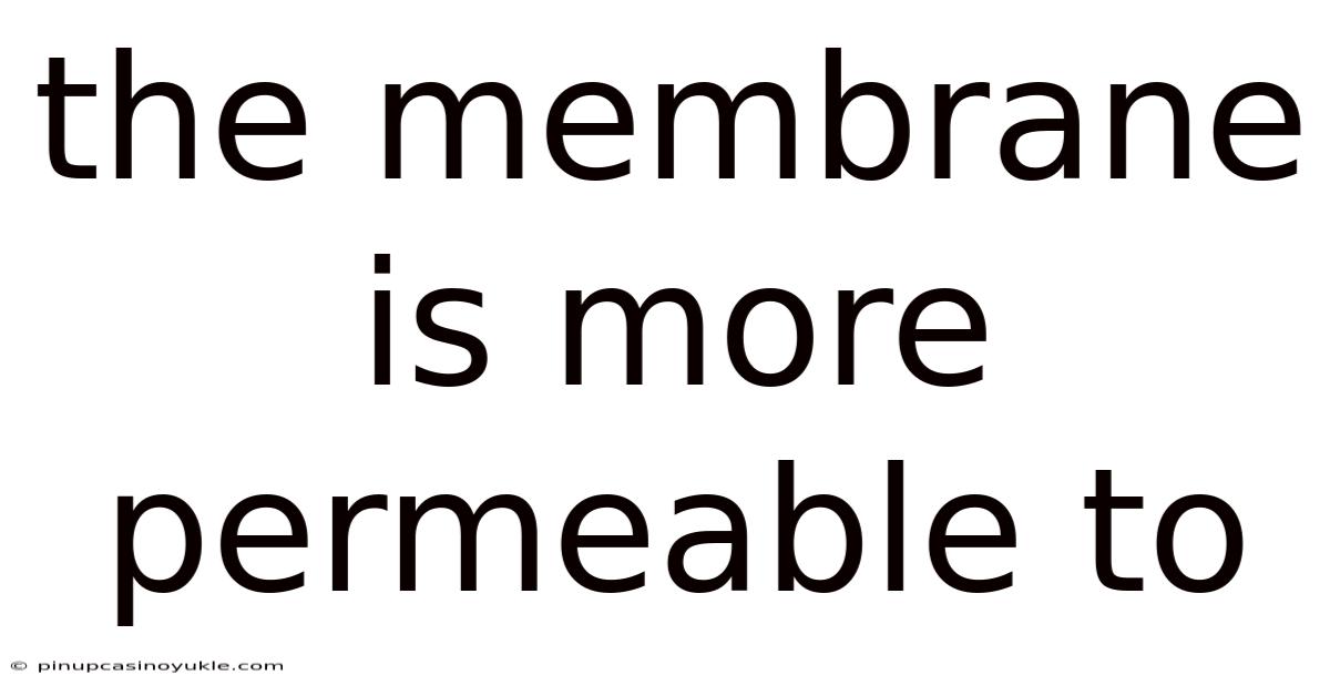 The Membrane Is More Permeable To