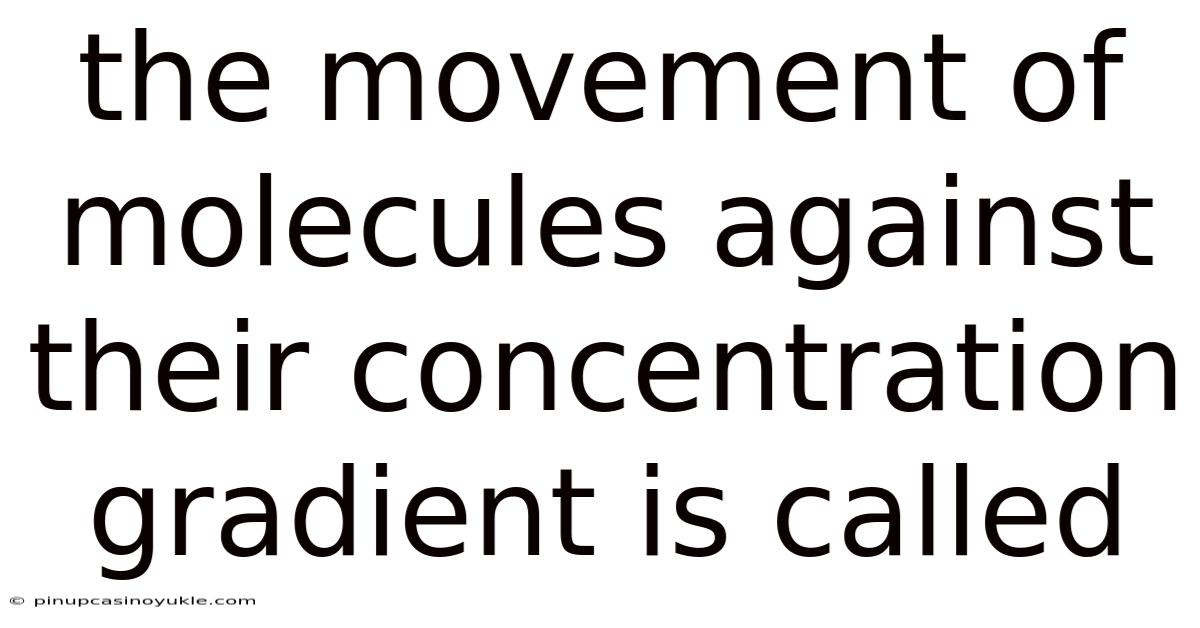 The Movement Of Molecules Against Their Concentration Gradient Is Called