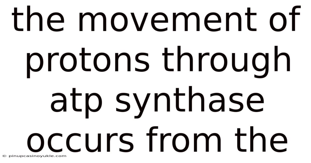 The Movement Of Protons Through Atp Synthase Occurs From The