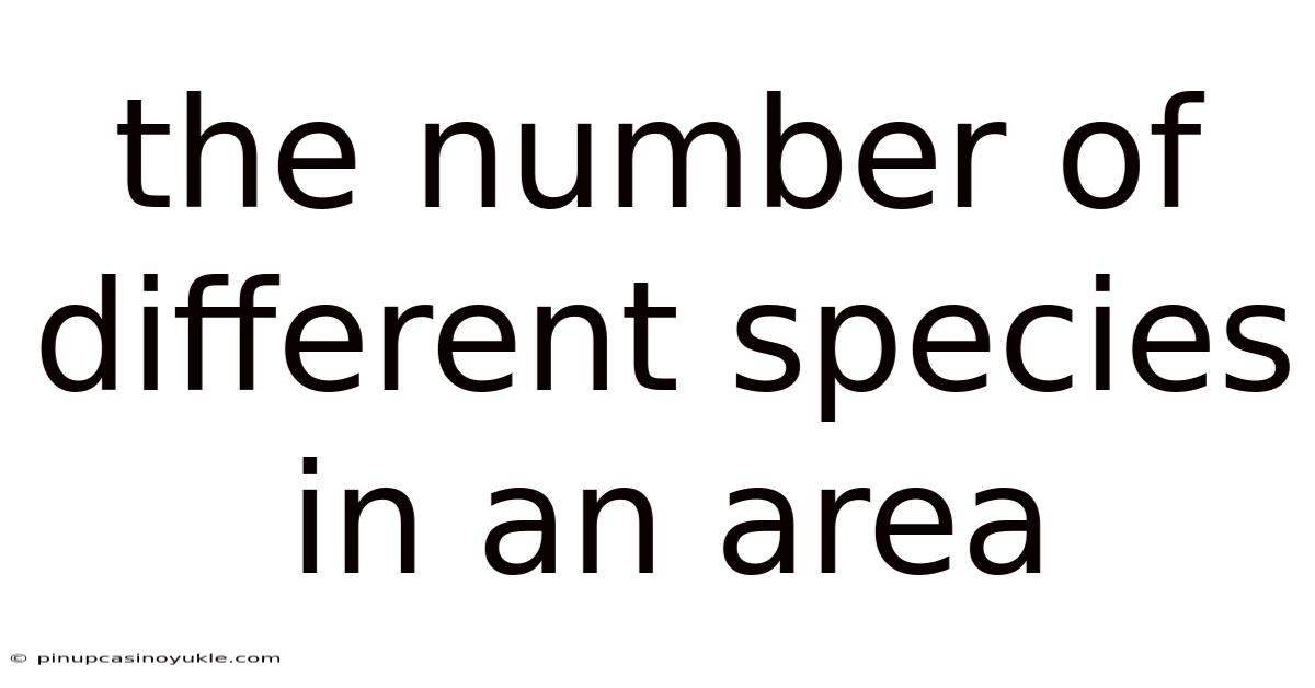 The Number Of Different Species In An Area