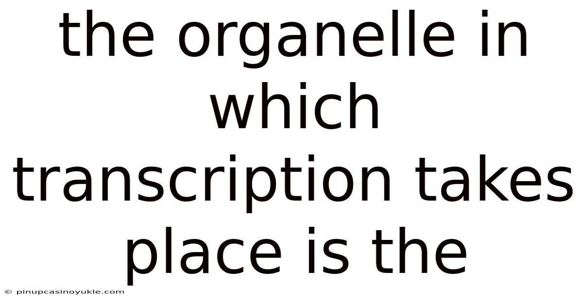 The Organelle In Which Transcription Takes Place Is The