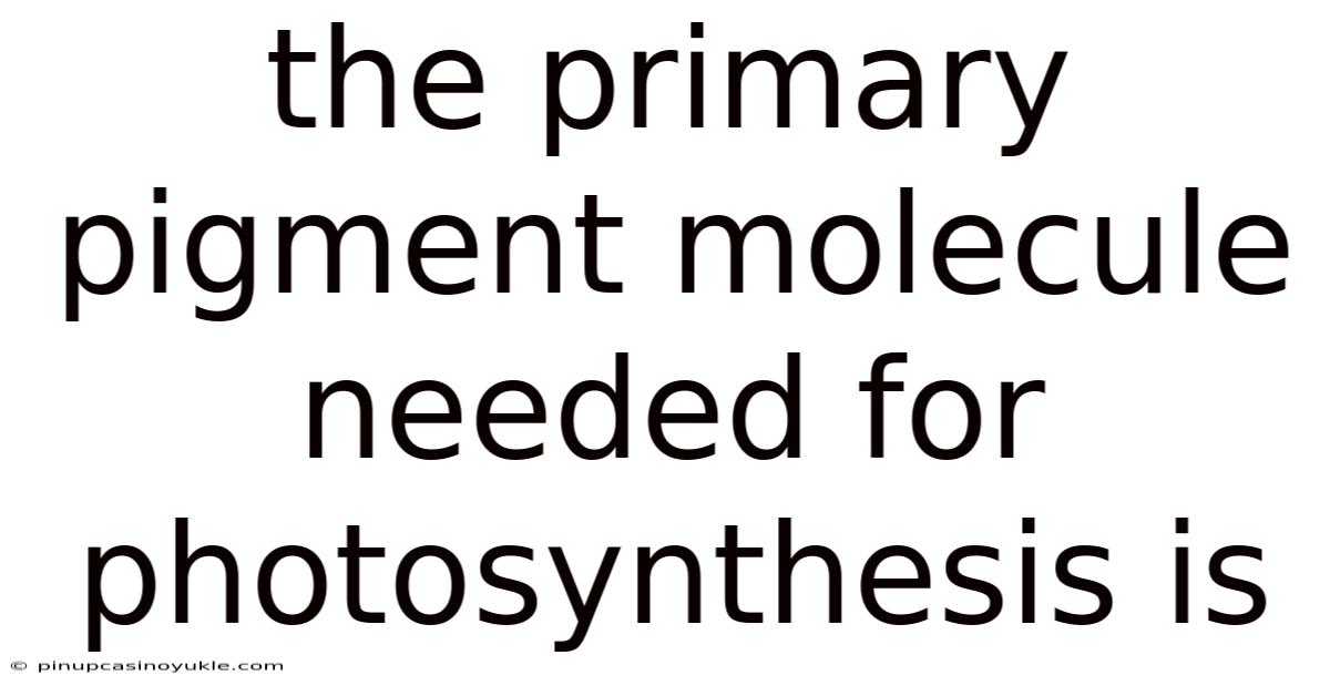 The Primary Pigment Molecule Needed For Photosynthesis Is