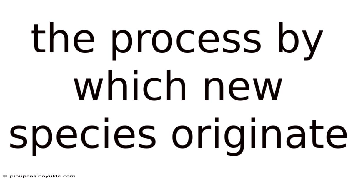 The Process By Which New Species Originate