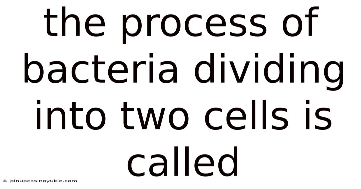 The Process Of Bacteria Dividing Into Two Cells Is Called