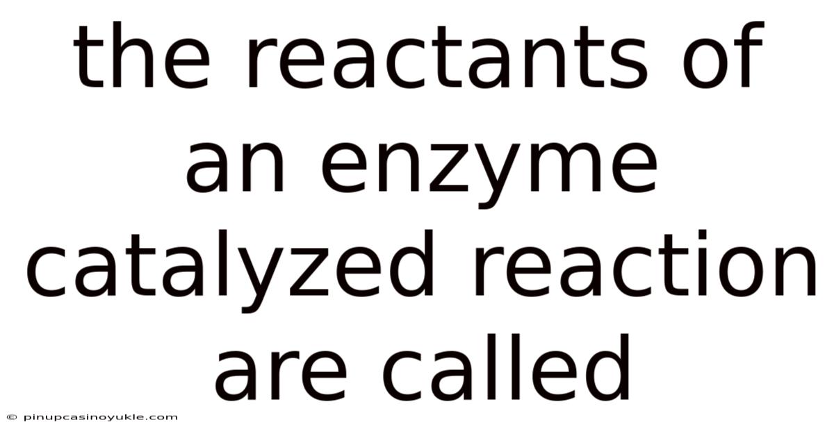 The Reactants Of An Enzyme Catalyzed Reaction Are Called