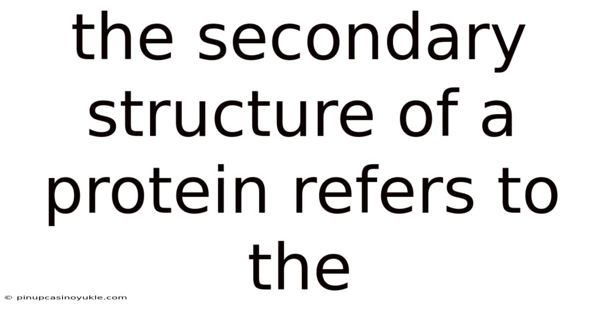 The Secondary Structure Of A Protein Refers To The