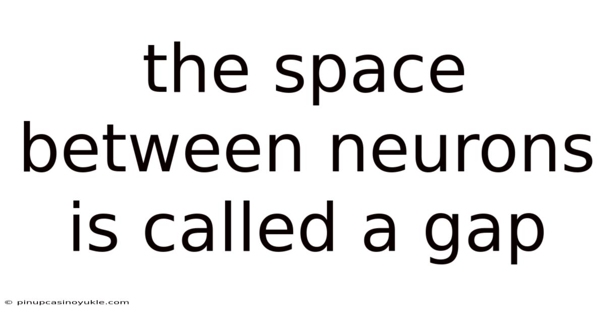 The Space Between Neurons Is Called A Gap