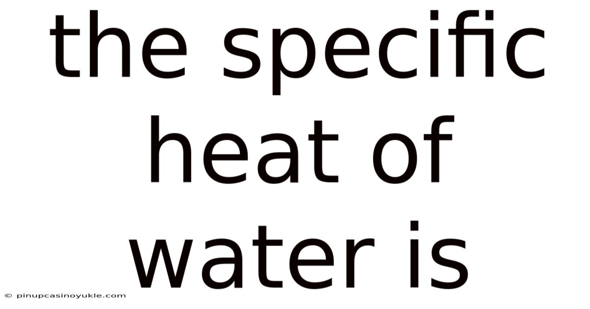 The Specific Heat Of Water Is