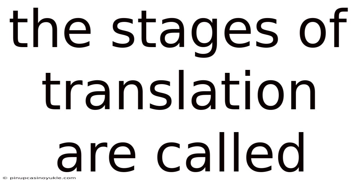 The Stages Of Translation Are Called