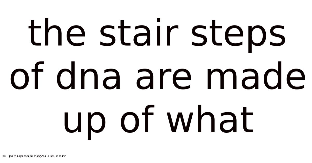 The Stair Steps Of Dna Are Made Up Of What