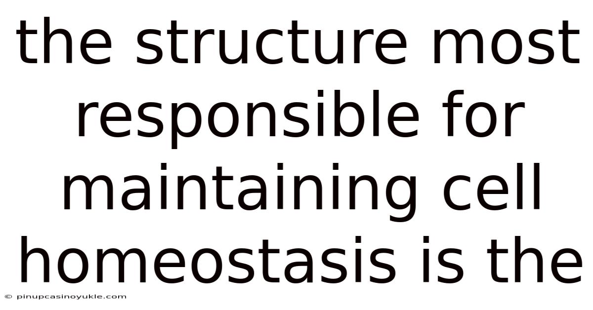 The Structure Most Responsible For Maintaining Cell Homeostasis Is The