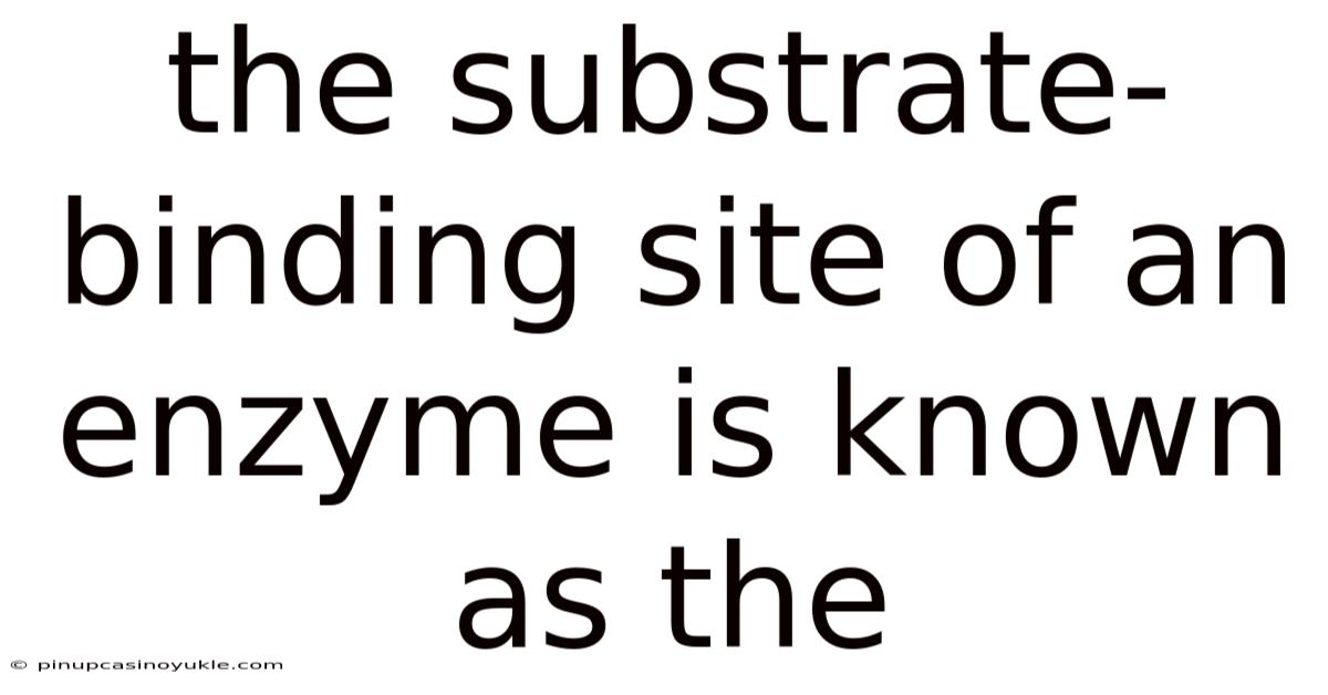 The Substrate-binding Site Of An Enzyme Is Known As The