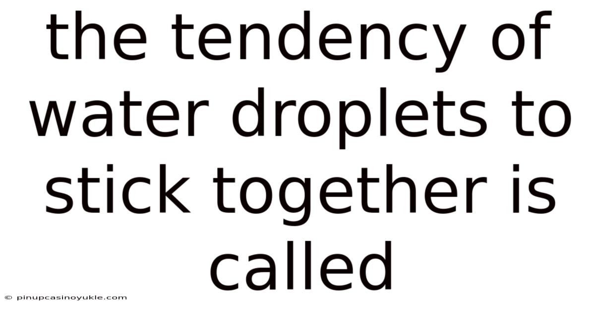 The Tendency Of Water Droplets To Stick Together Is Called