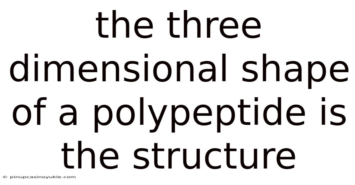 The Three Dimensional Shape Of A Polypeptide Is The Structure