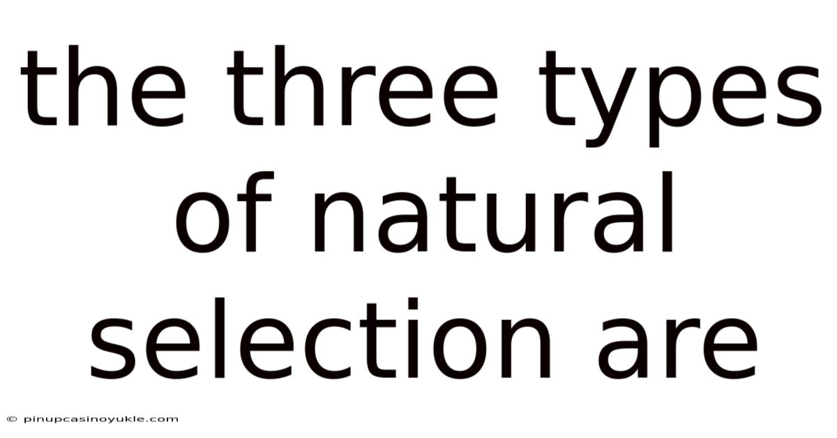 The Three Types Of Natural Selection Are