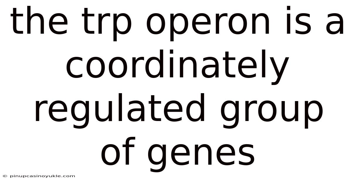The Trp Operon Is A Coordinately Regulated Group Of Genes