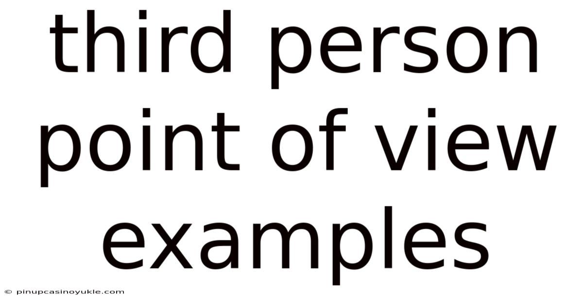 Third Person Point Of View Examples