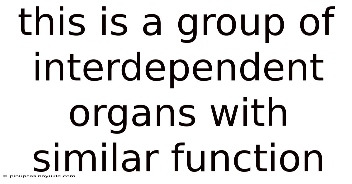 This Is A Group Of Interdependent Organs With Similar Function