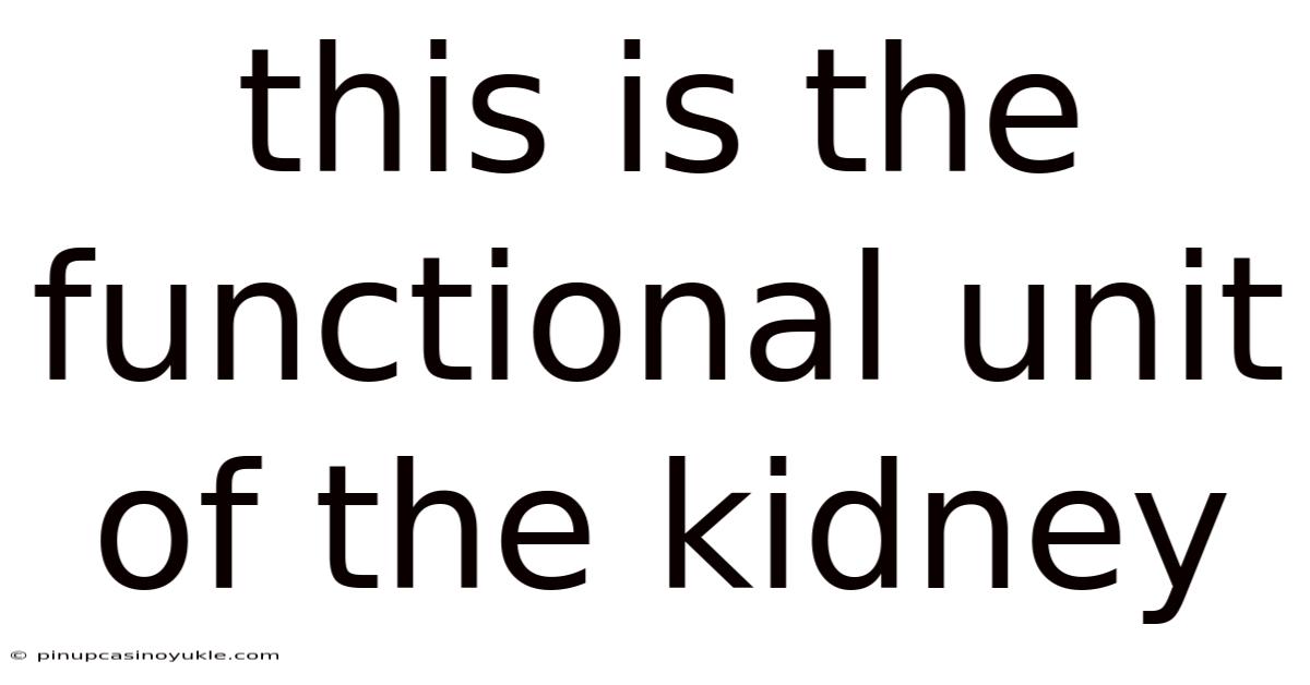 This Is The Functional Unit Of The Kidney