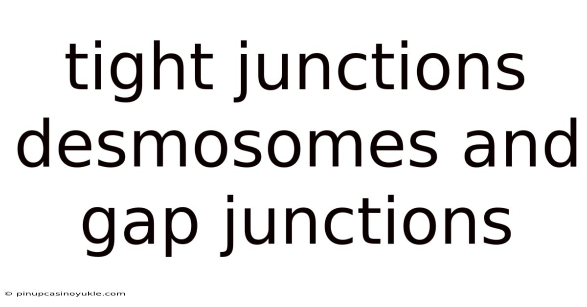 Tight Junctions Desmosomes And Gap Junctions