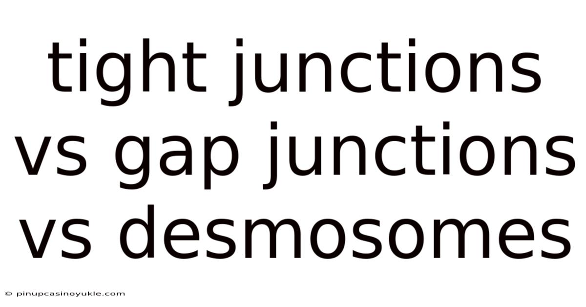 Tight Junctions Vs Gap Junctions Vs Desmosomes