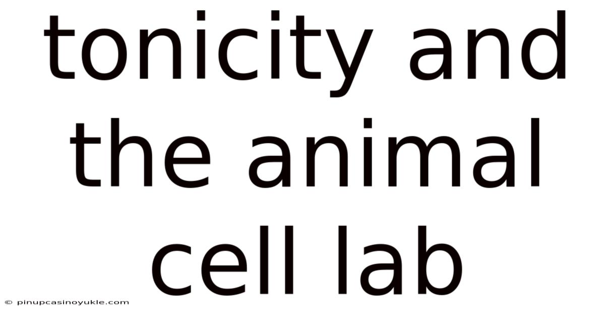 Tonicity And The Animal Cell Lab