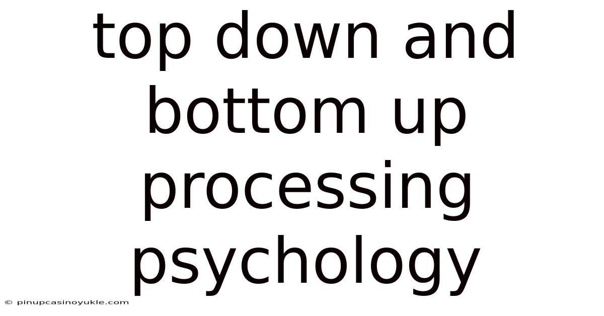 Top Down And Bottom Up Processing Psychology