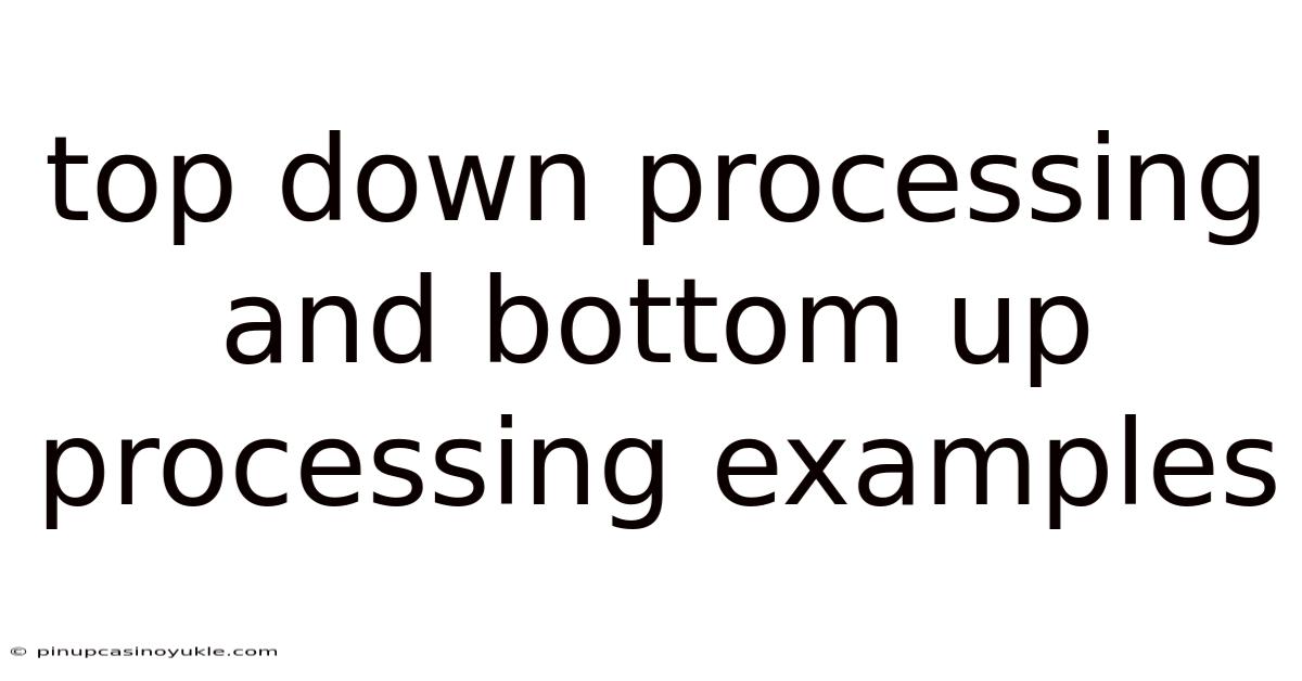 Top Down Processing And Bottom Up Processing Examples