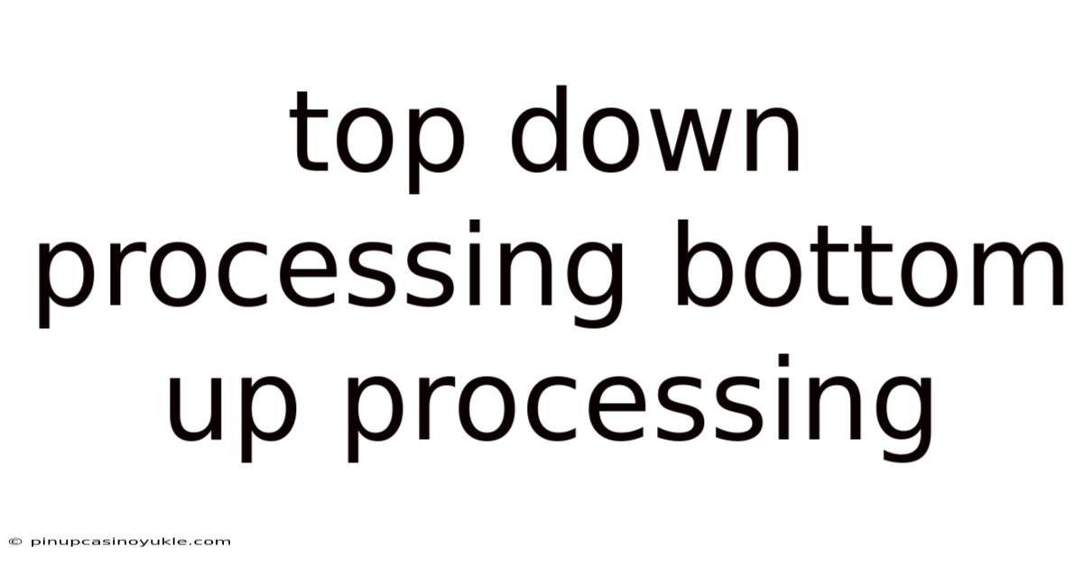 Top Down Processing Bottom Up Processing