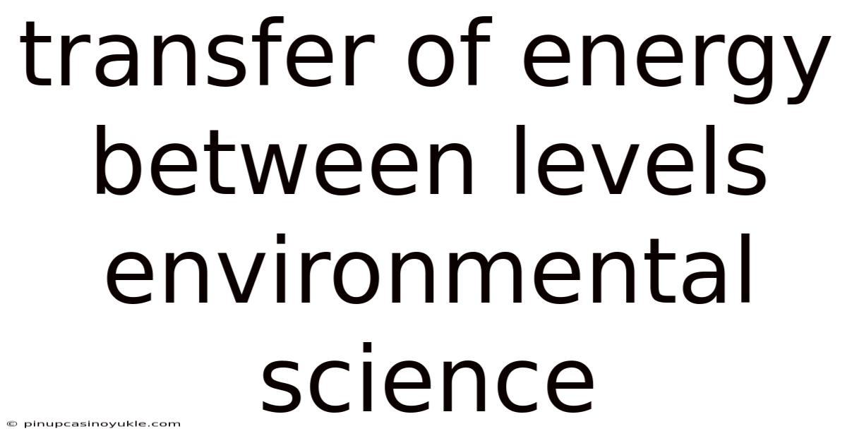 Transfer Of Energy Between Levels Environmental Science