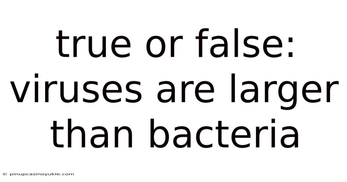 True Or False: Viruses Are Larger Than Bacteria