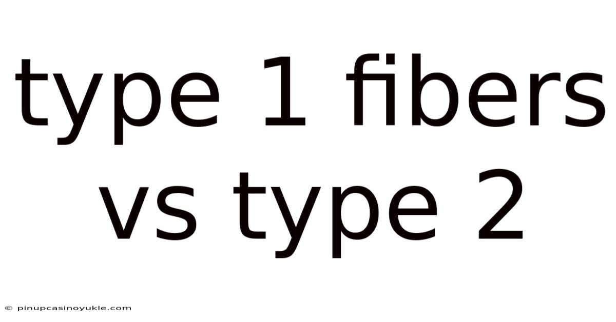 Type 1 Fibers Vs Type 2
