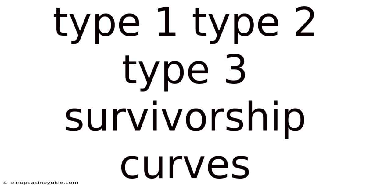 Type 1 Type 2 Type 3 Survivorship Curves