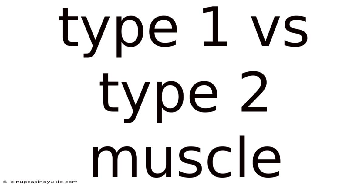 Type 1 Vs Type 2 Muscle