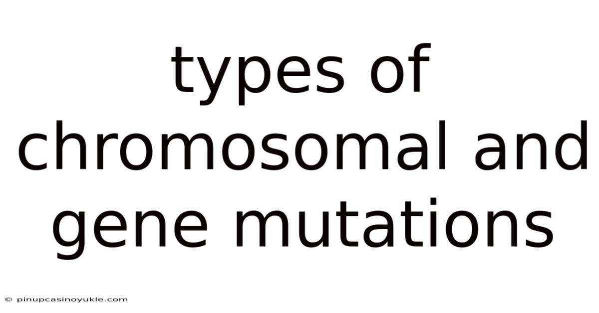 Types Of Chromosomal And Gene Mutations