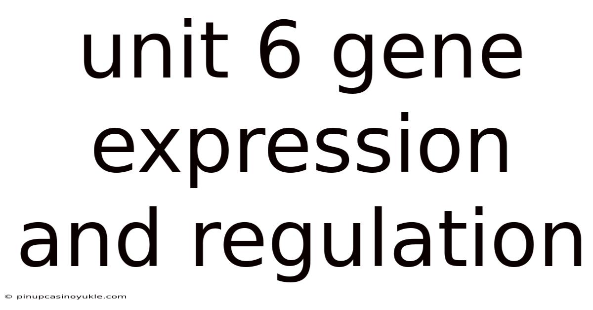 Unit 6 Gene Expression And Regulation