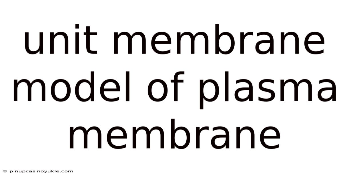 Unit Membrane Model Of Plasma Membrane