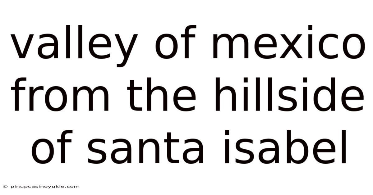 Valley Of Mexico From The Hillside Of Santa Isabel