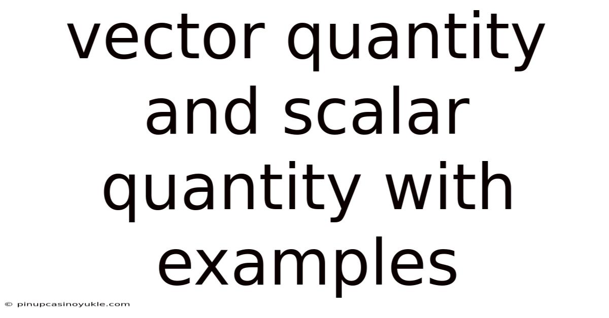 Vector Quantity And Scalar Quantity With Examples