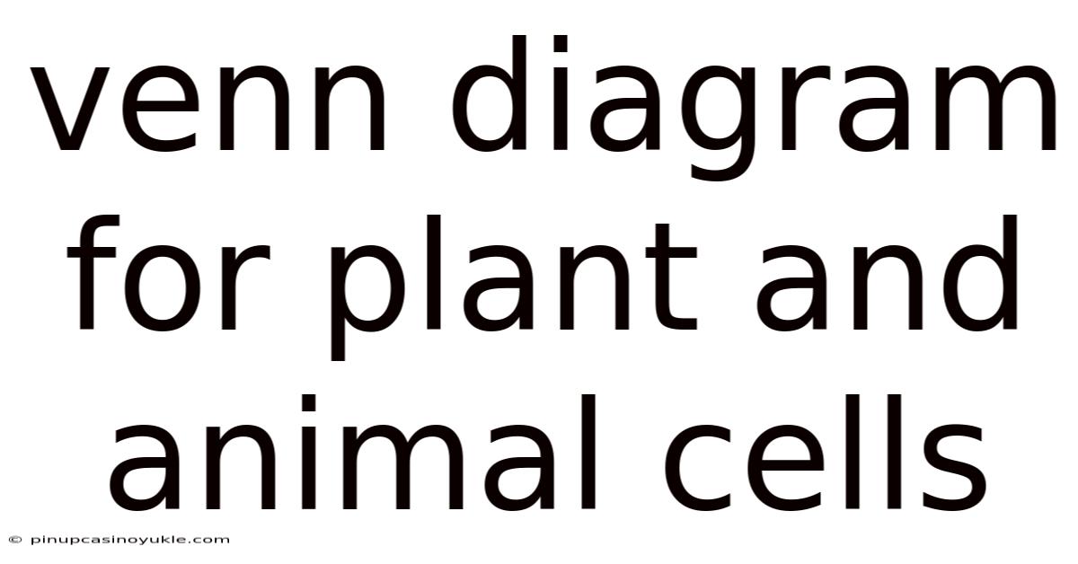 Venn Diagram For Plant And Animal Cells