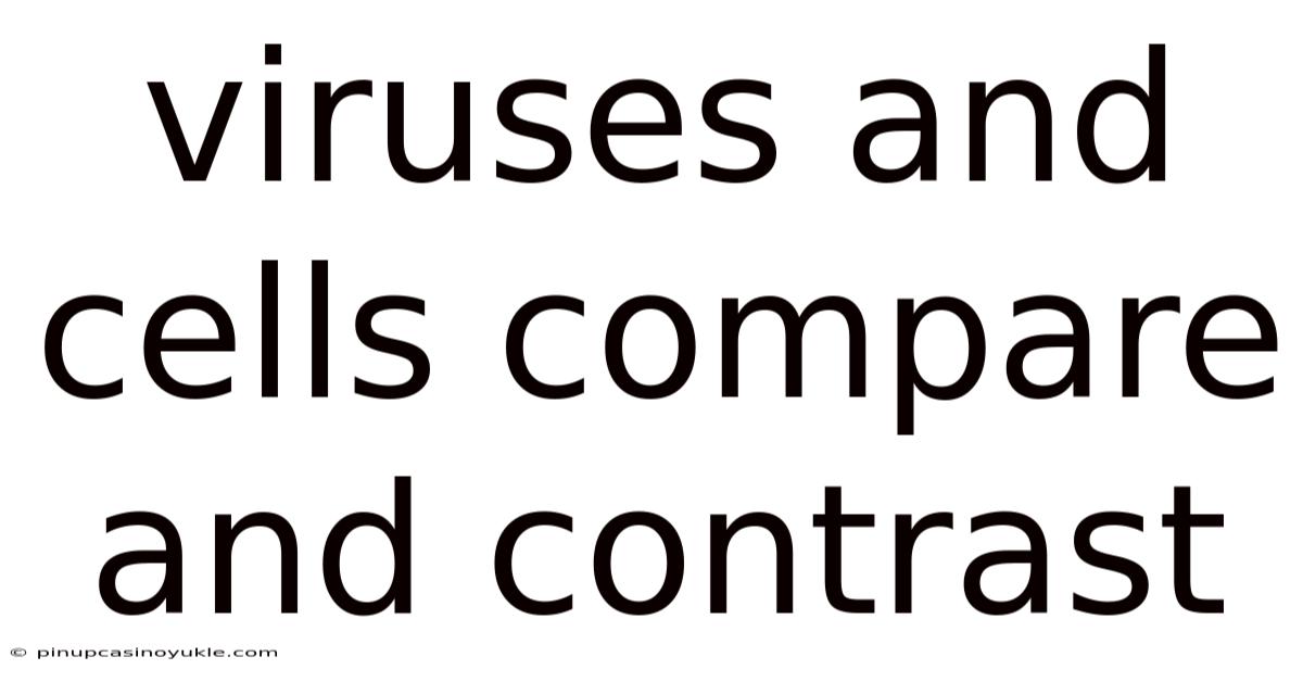 Viruses And Cells Compare And Contrast