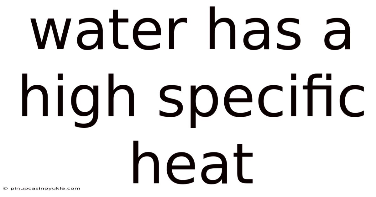 Water Has A High Specific Heat