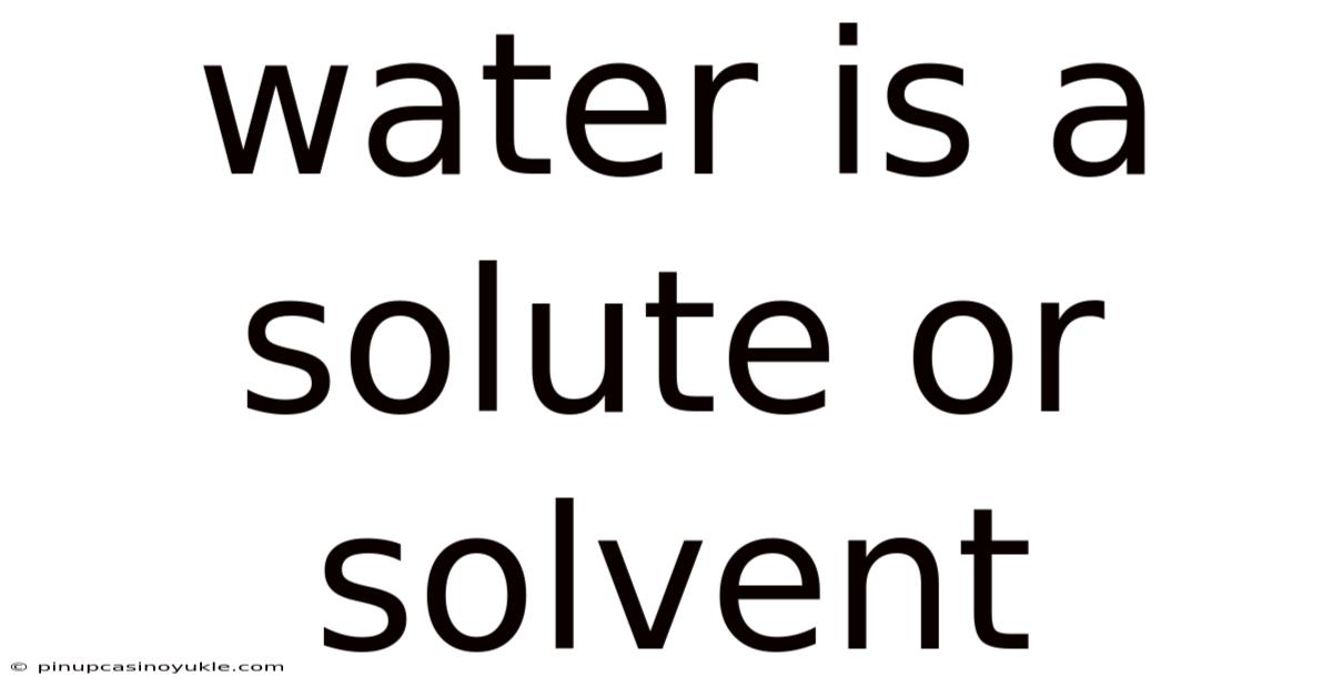 Water Is A Solute Or Solvent