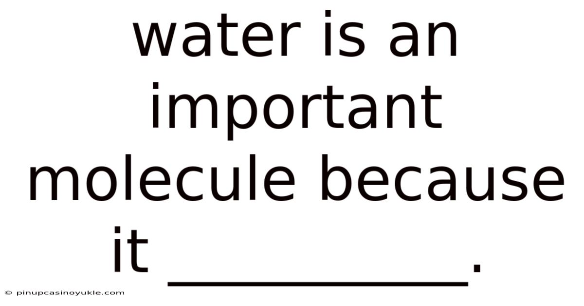Water Is An Important Molecule Because It __________.