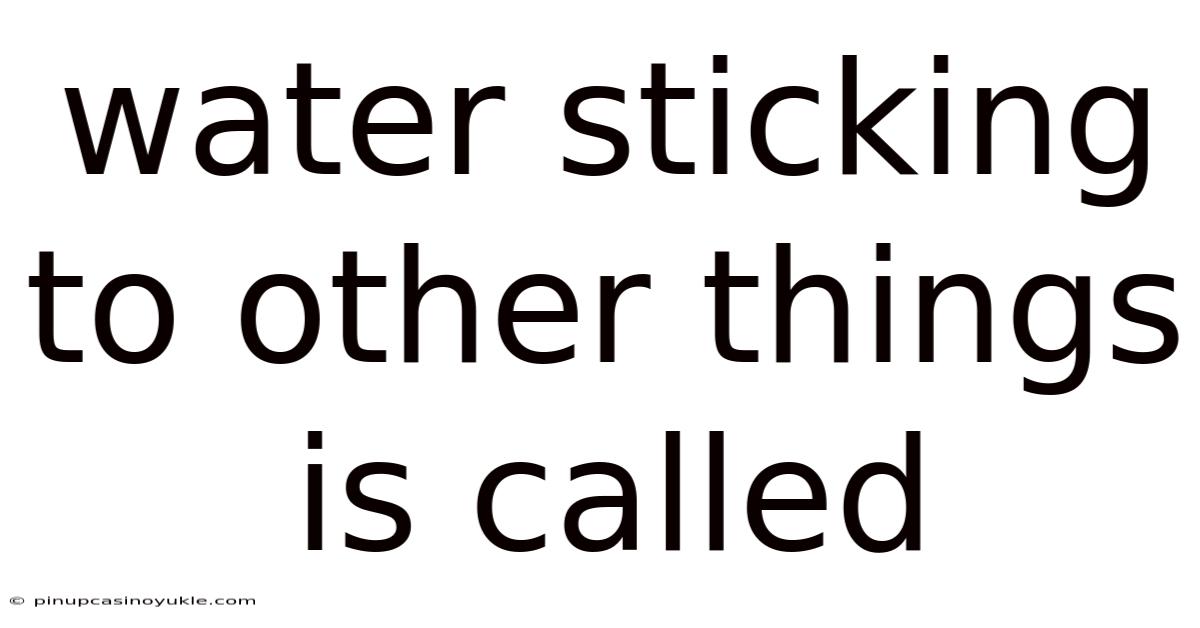 Water Sticking To Other Things Is Called