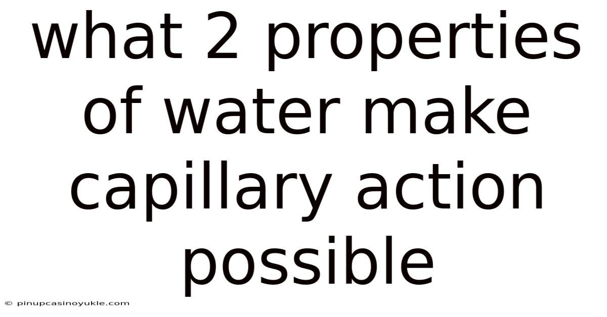 What 2 Properties Of Water Make Capillary Action Possible