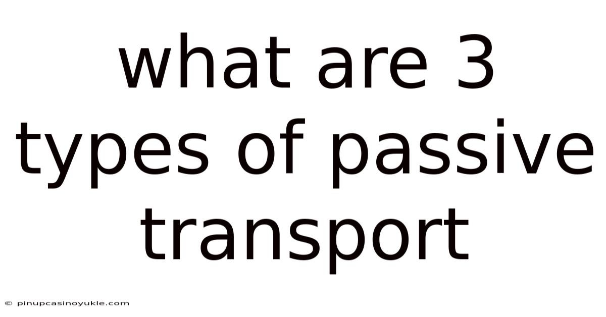 What Are 3 Types Of Passive Transport
