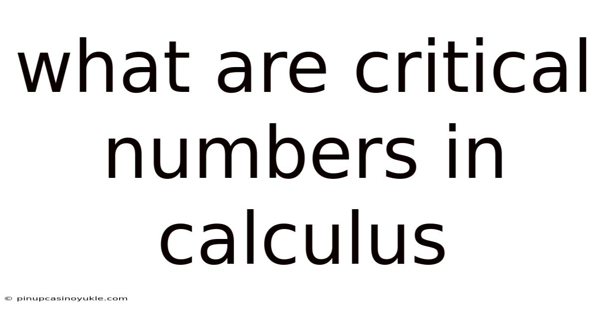 What Are Critical Numbers In Calculus