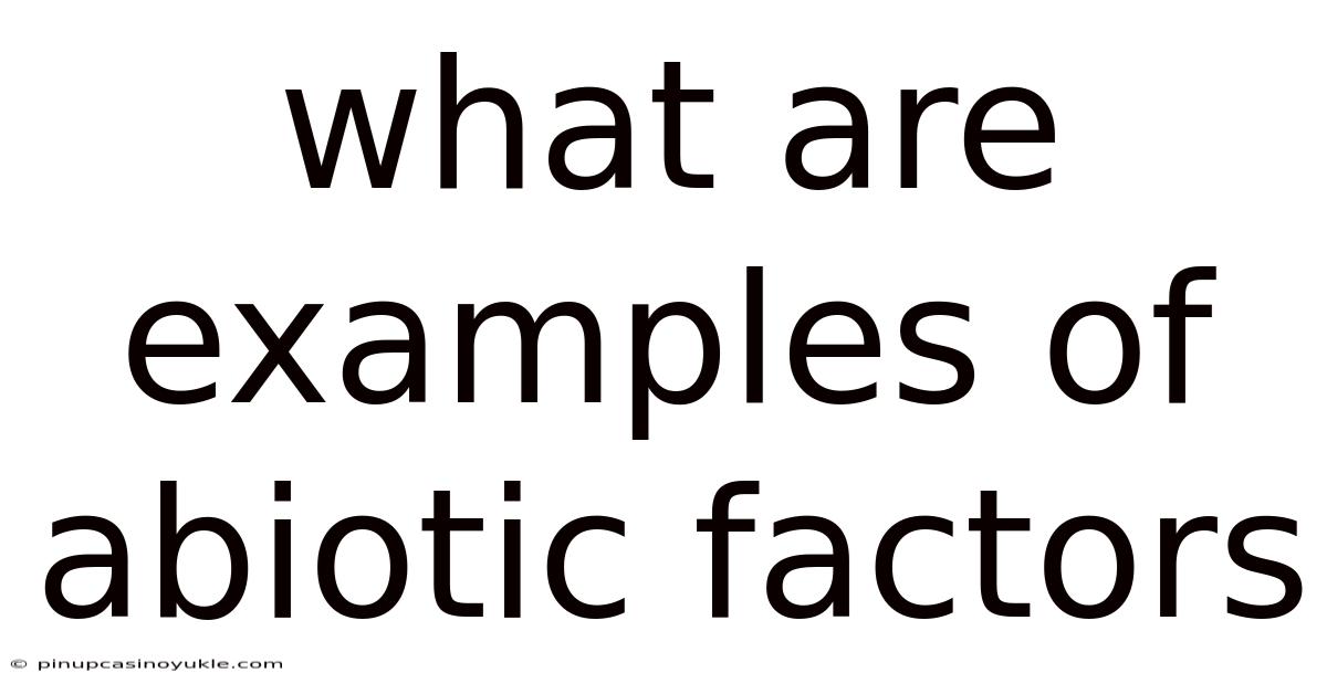 What Are Examples Of Abiotic Factors